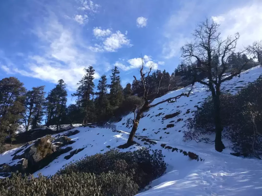 chopta tour package