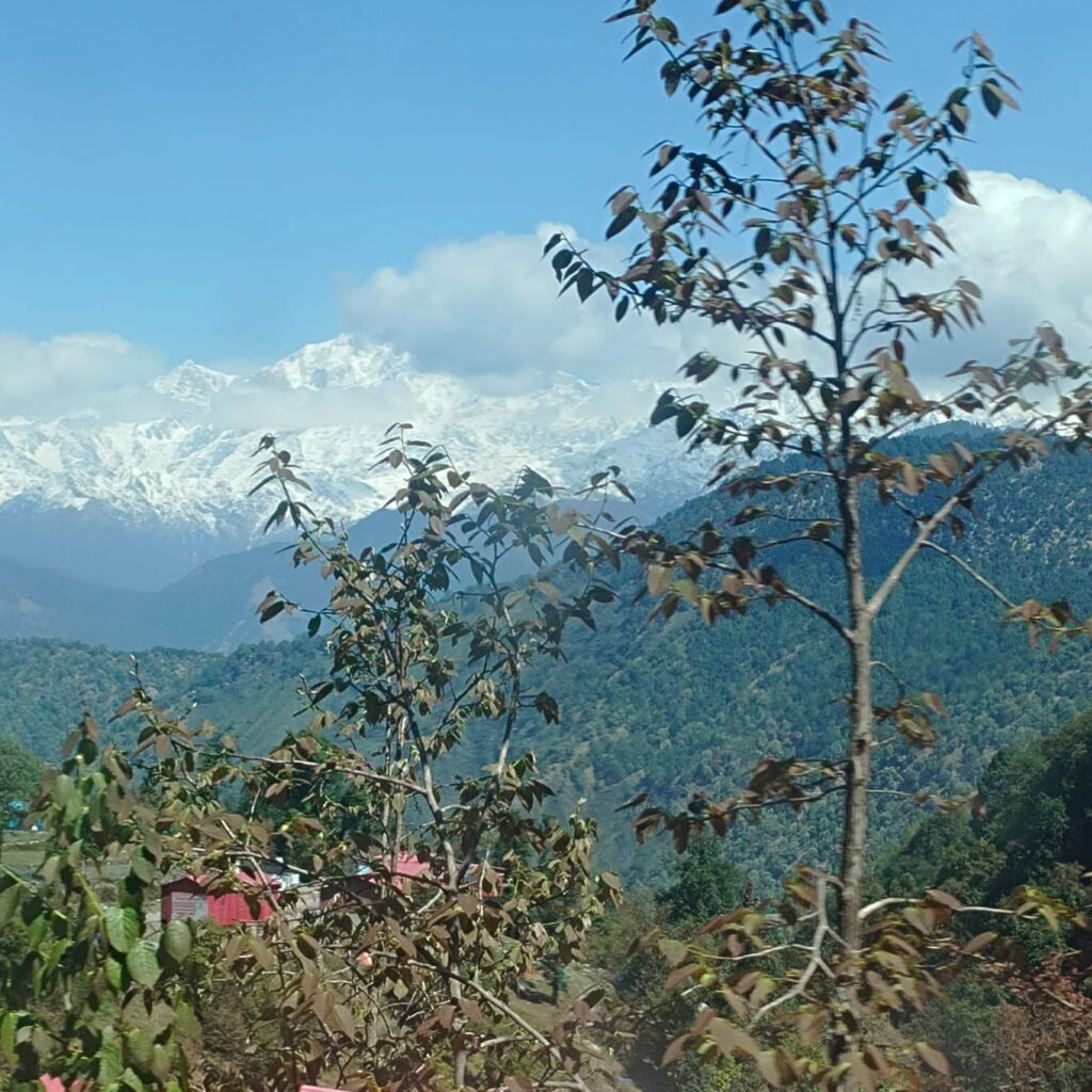 Chopta Tour Package