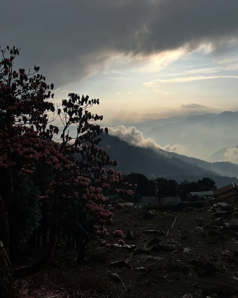 chopta valley