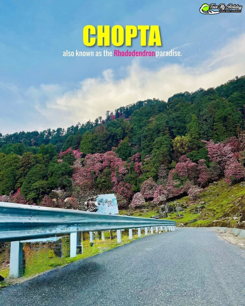 hidden places near chopta