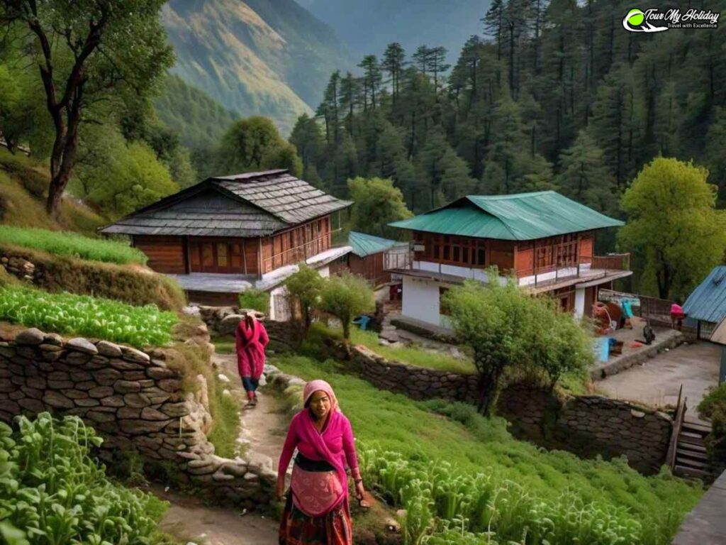 chopta tour package