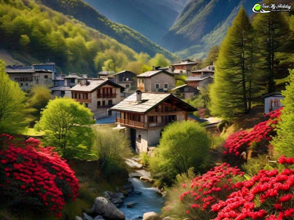 chopta tour package
