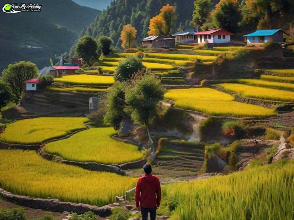 chopta tour package