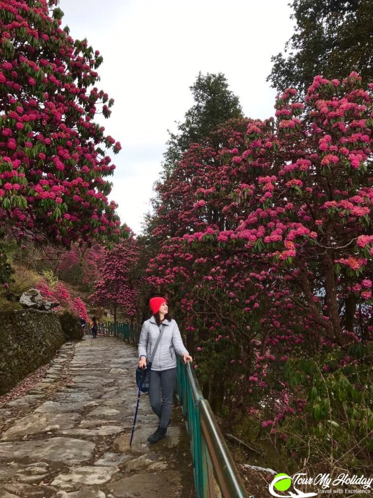 chopta