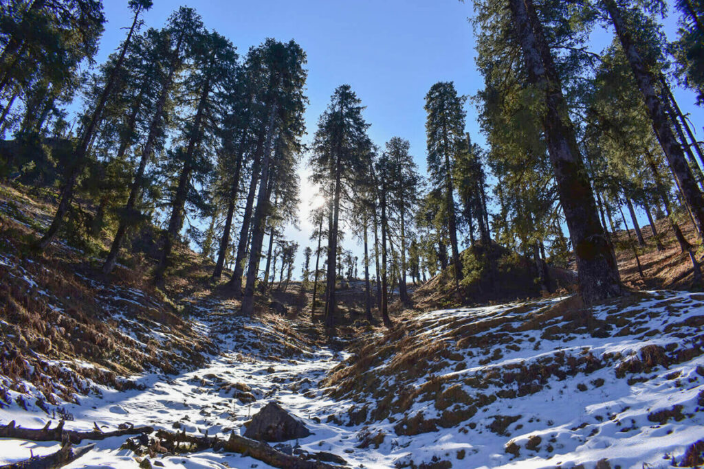 chopta chandrashila trek