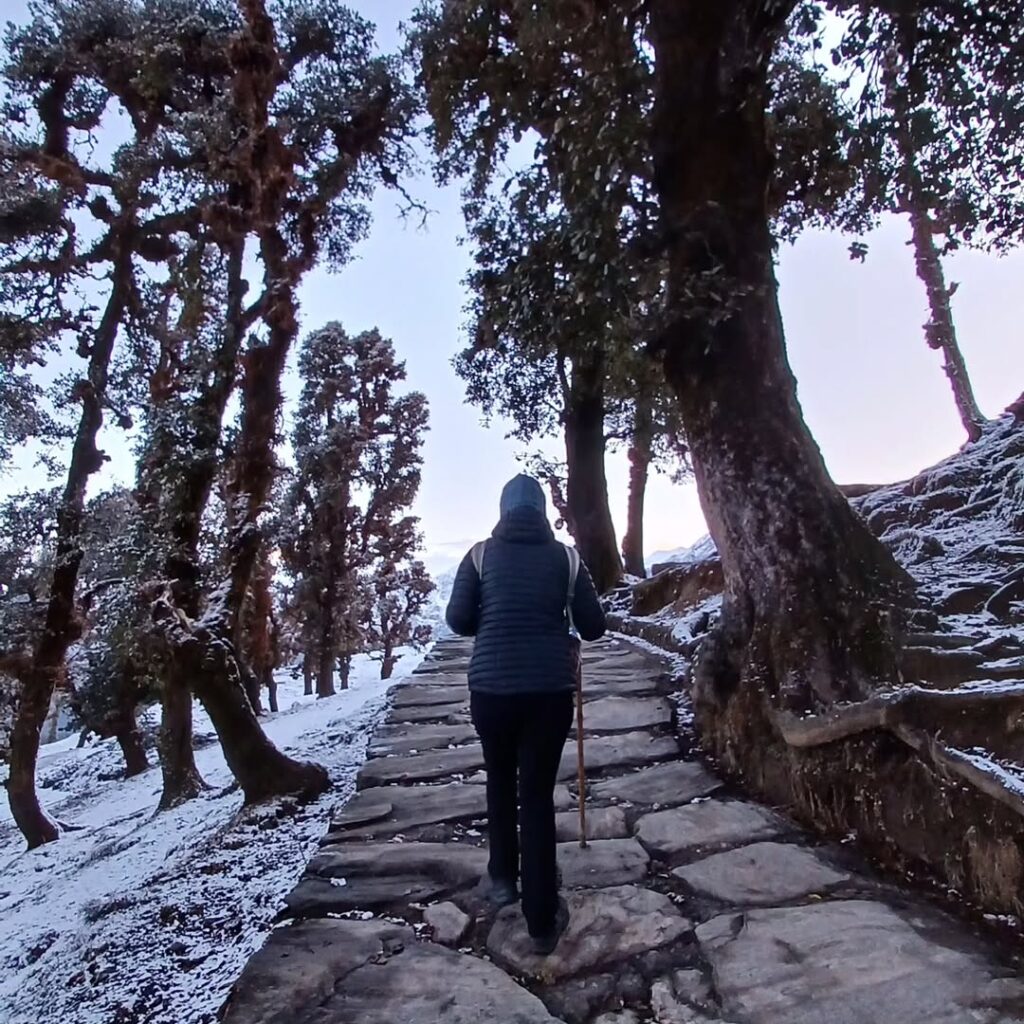 chopta tour package