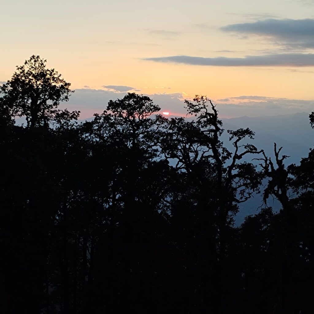 chopta tour packages