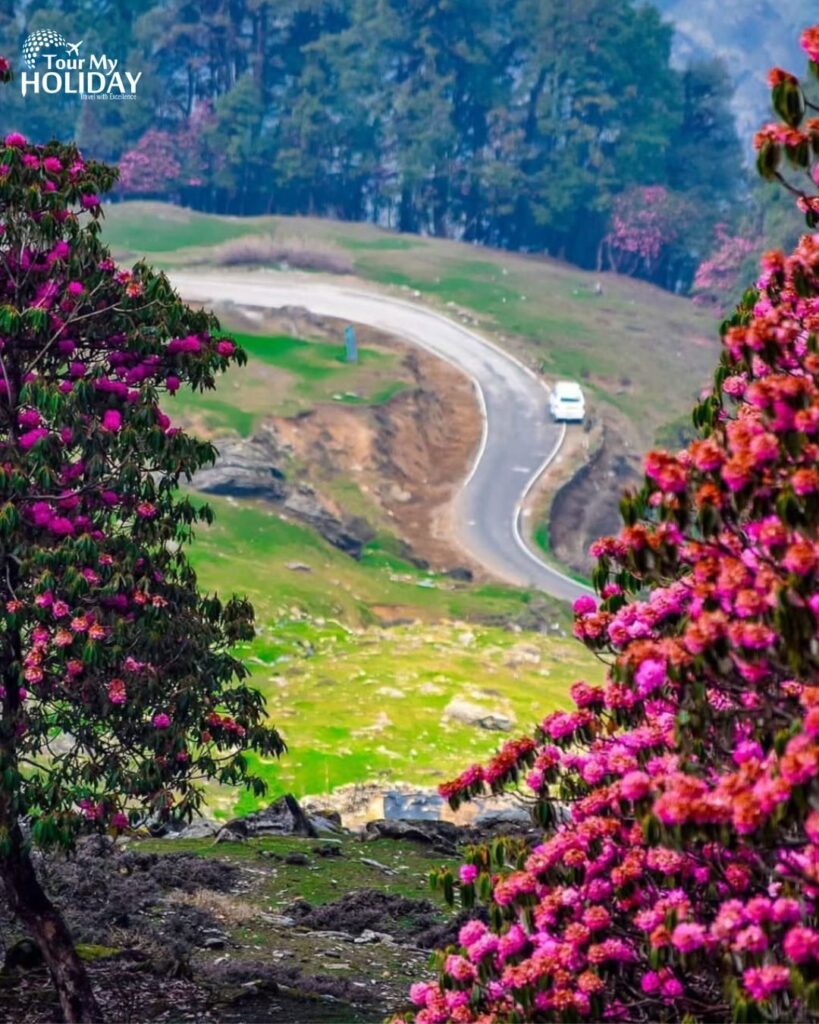 chopta chandrashila trek from delhi