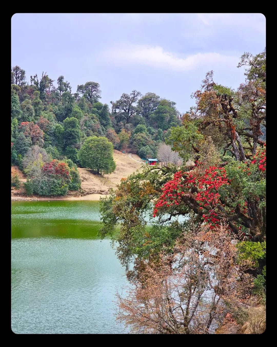 chopta tour package