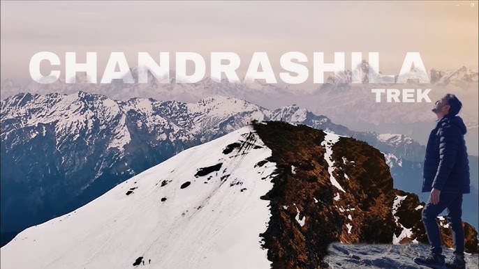 chopta tour packages