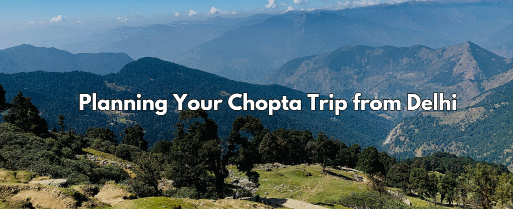 chopta tour package