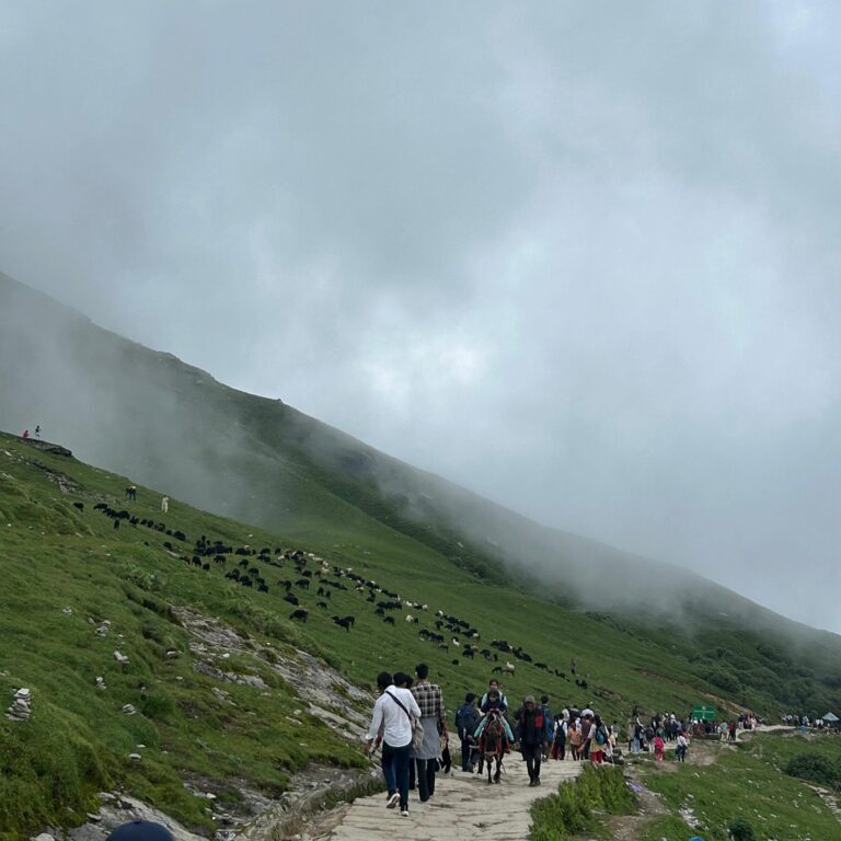 chopta tour package