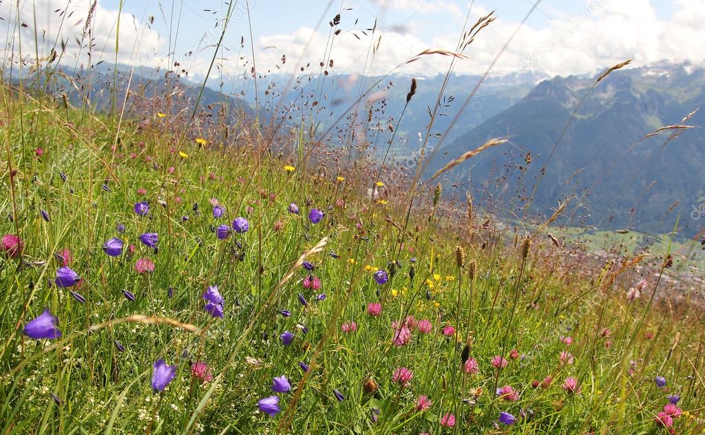 chopta tungnath trek