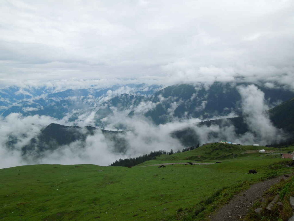 chopta tour package