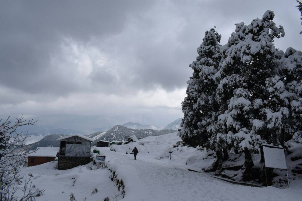 chopta tungnath tour