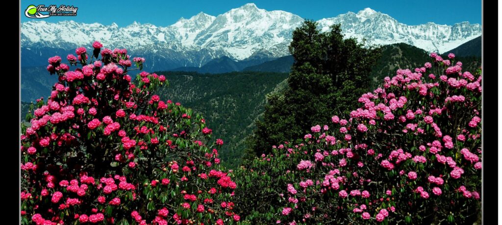 best time to visit chopta 