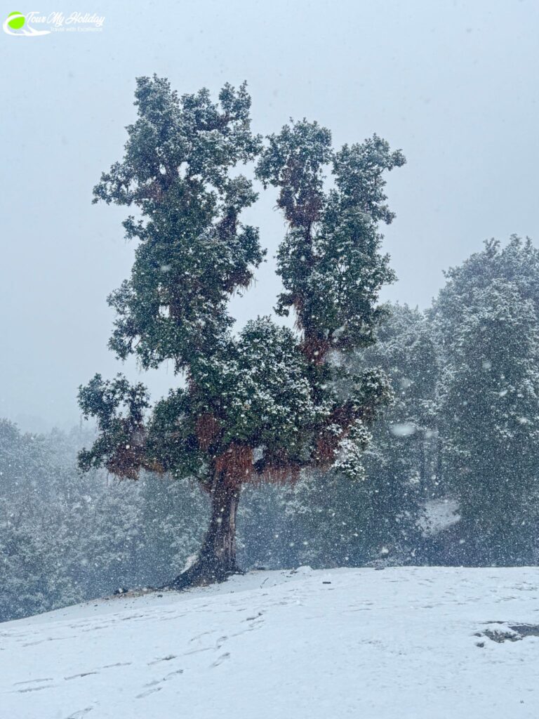 best time to visit chopta