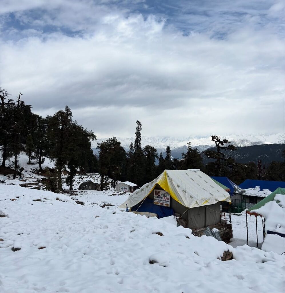 chopta tungnath tour